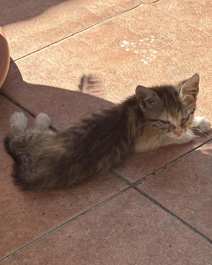 Tiny